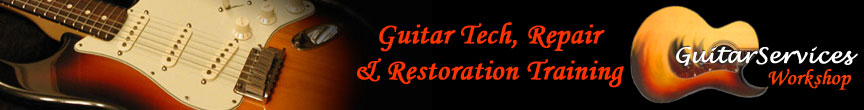 Levan's Guitar Services